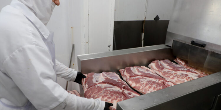 Paraná alcança melhor trimestre da história na produção de carne bovina e suína
Foto: Ari Dias/AEN
