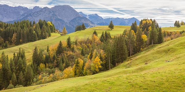 Foto: Pixabay