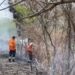 Incêndio é controlado pelo Corpo de Bombeiros na entrada do Jardim Panorama, em Jacarezinho “Assista o vídeo”