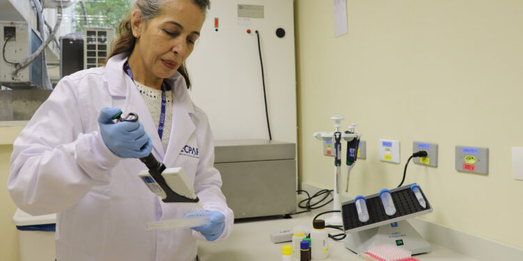Alimentação escolar: controle rigoroso garante cardápios nutritivos e saudáveis no Paraná
Foto: TECPAR