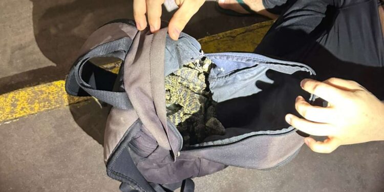 Foto: Receita Federal