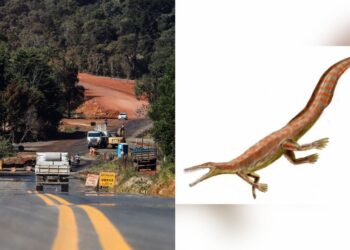 Área com fósseis de 200 milhões de anos leva à suspensão de obras em rodovia do PR