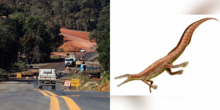 As obras foram suspensas após recomendação do Ministério Público Federal (MPF) (Foto: DER/PR e Unicentro Paraná)