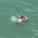 Patrulhamento aéreo resgata três pessoas à deriva no litoral do Paraná “Assista o vídeo”