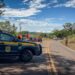 Paraná: Motorista morre e esposa e filhas são resgatadas em acidente na BR-369