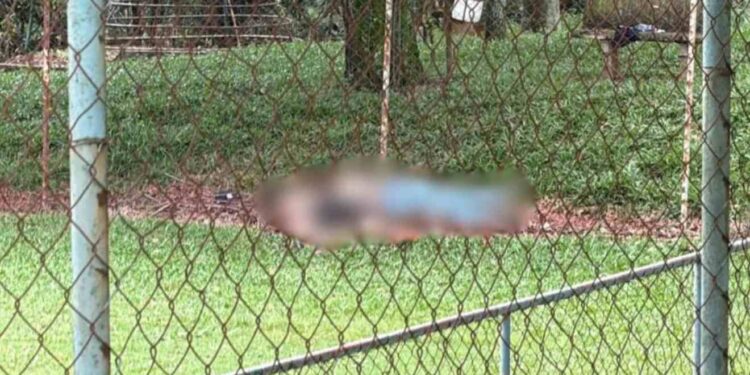 Jovens encontrados mortos em campinho de futebol, em Cascavel, ainda não foram identificados (Foto: Reprodução/ Portal Preto no Branco)