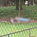 Paraná: Dois jovens são encontrados mortos em campo de futebol