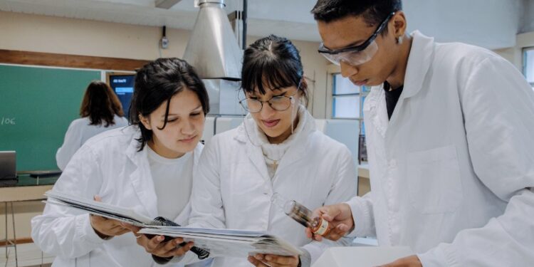 Educação profissional escolas estaduais reabrem matrículas para cursos técnicos no Paraná
Foto: Lucas Fermin/SEED