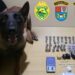 Policia Militar prende homem por tráfico de drogas durante patrulhamento em Santo Antônio da Platina