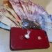 Polícia Militar em conjunto com PCPR, realiza cumprimento de mandado de busca