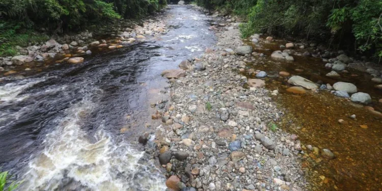 CBMPR alerta veranistas sobre risco de cabeças d’água durante o verão - Foto: CBMPR