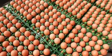 Preços de alimentos e bebidas caem pelo segundo mês consecutivo no Paraná