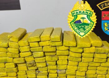 Norte Pioneiro: Policia Militar realiza grande apreensão de Maconha em Ibaiti