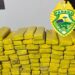 Norte Pioneiro: Policia Militar realiza grande apreensão de Maconha em Ibaiti