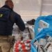 Paraná: PRF apreende medicamentos e anabolizantes em fiscalização na BR-277