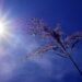 Inmet emite alerta para onda de calor em municípios do Sul do país