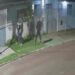 Paraná: Mulher tem braço quebrado ao enfrentar assaltantes “Assista o vídeo”