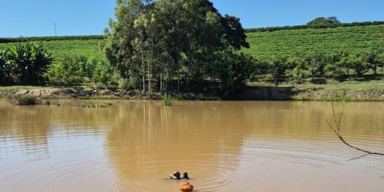 Foto: Corpo de Bombeiros