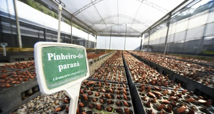 Foto: Reprodução/Secom Paraná