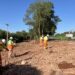 Rio Paranapanema: EPR Litoral Pioneiro e IAT realizam ação com plantação de árvores nativas em Jacarezinho