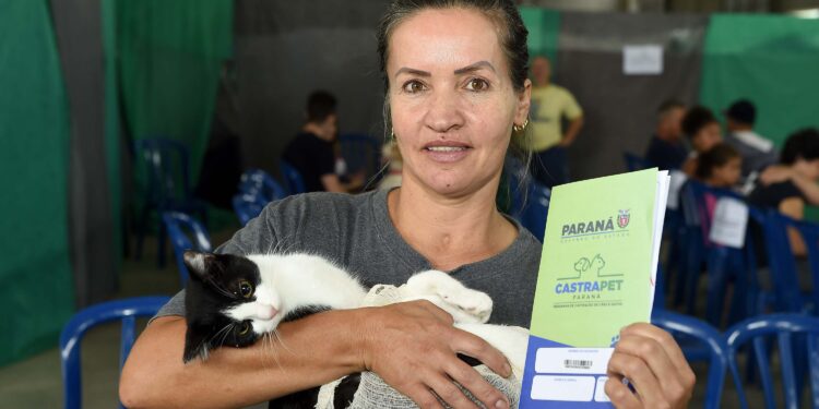 Foto: Denis Ferreira Netto/SEDEST