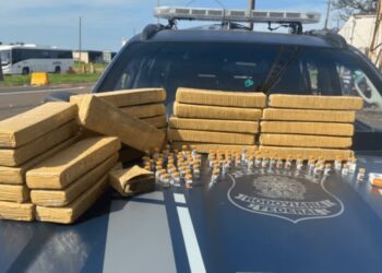 Jacarezinho: PRF intercepta drogas e medicamentos irregulares na BR-153
