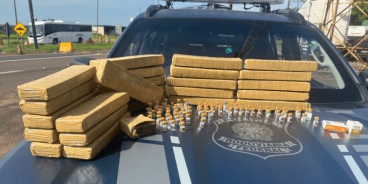 Jacarezinho: PRF intercepta drogas e medicamentos irregulares na BR-153