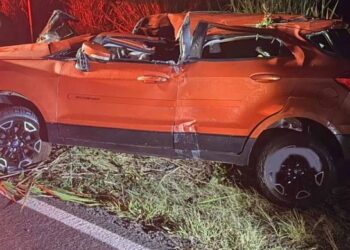 Norte Pioneiro: Javali na pista causa tragédia e mata motorista na PR-218 “Assista o vídeo”