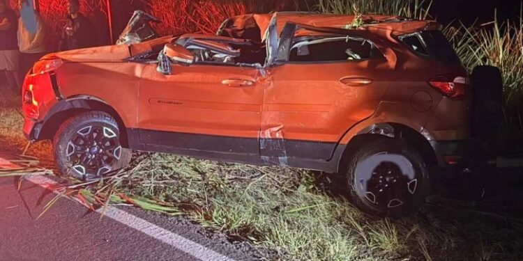 Norte Pioneiro: Javali na pista causa tragédia e mata motorista na PR-218 “Assista o vídeo”