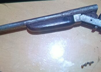 Polícia Militar apreende drogas, arma de fogo e objetos em residência investigada por tráfico