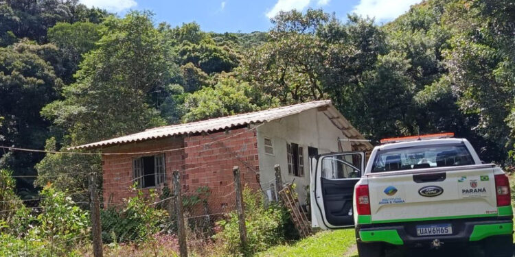 IAT fecha trilha e multa em R$ 23 mil responsável por acesso clandestino ao Pico Paraná