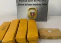 Norte Pioneiro: Polícia Civil prende em flagrante suspeito e apreende mais de 7kg de drogas