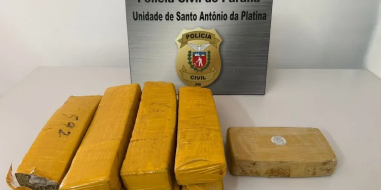 Norte Pioneiro: Polícia Civil prende em flagrante suspeito e apreende mais de 7kg de drogas