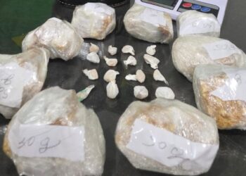 Polícia Militar desarticula ponto de tráfico em Pinhalão/PR e reforça segurança da comunidade