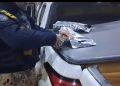 Paraná: PRF apreende mais de 400 quilos de maconha durante fiscalização “Assista o vídeo”
