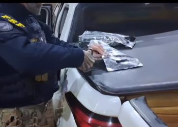 Paraná: PRF apreende mais de 400 quilos de maconha durante fiscalização “Assista o vídeo”