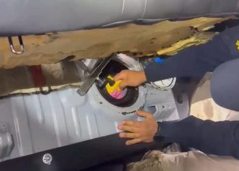 Paraná: Ação conjunta da PRF e PMPR resulta em prisão e apreensão de drogas “Assista o vídeo”