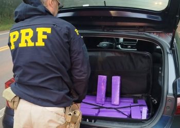 Paraná: Apreensão de drogas na BR-277 mobiliza Polícia Rodoviária Federal