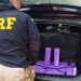 Paraná: Apreensão de drogas na BR-277 mobiliza Polícia Rodoviária Federal
