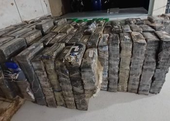 PRF apreende quase uma tonelada de maconha no Paraná