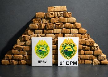 Polícia Militar do Paraná apreende maconha na Operação CGFron  Brasil Contra o Crime Organizado nas Divisas