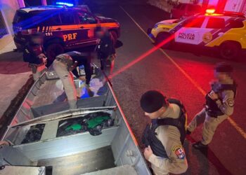 Ação conjunta Polícia Militar e PRF apreende 284 Kg de maconha em Joaquim Távora