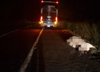 Norte Pioneiro: Acidente com ônibus na PR-092 resulta em morte de bovino