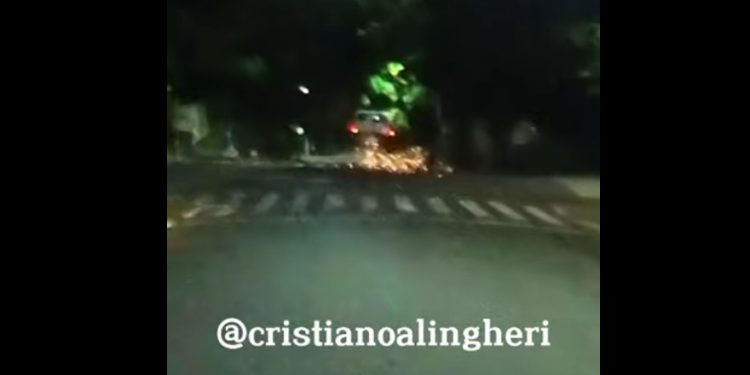 Foto: Cristiano Alingueri PMPR