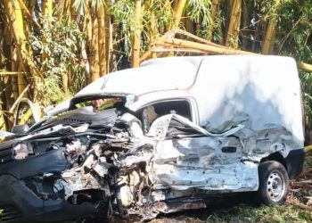 Colisão na PR-435 resulta em morte e ferido grave “Assista o vídeo”