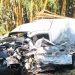 Colisão na PR-435 resulta em morte e ferido grave “Assista o vídeo”