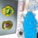 Operação policial apreende drogas e veículos adulterados em Santo Antônio da Platina
