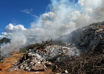 Incêndio em vegetação mobiliza Corpo de Bombeiros em Jacarezinho