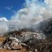 Incêndio em vegetação mobiliza Corpo de Bombeiros em Jacarezinho