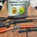 Operação conjunta entre Policia Militar e PCPR, prende dois homens e apreende armas e munições em Santo Antônio da Platina